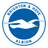Brighton & Hove Albion badge